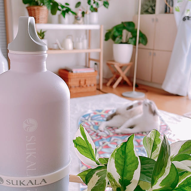 milkcocoaさんの部屋