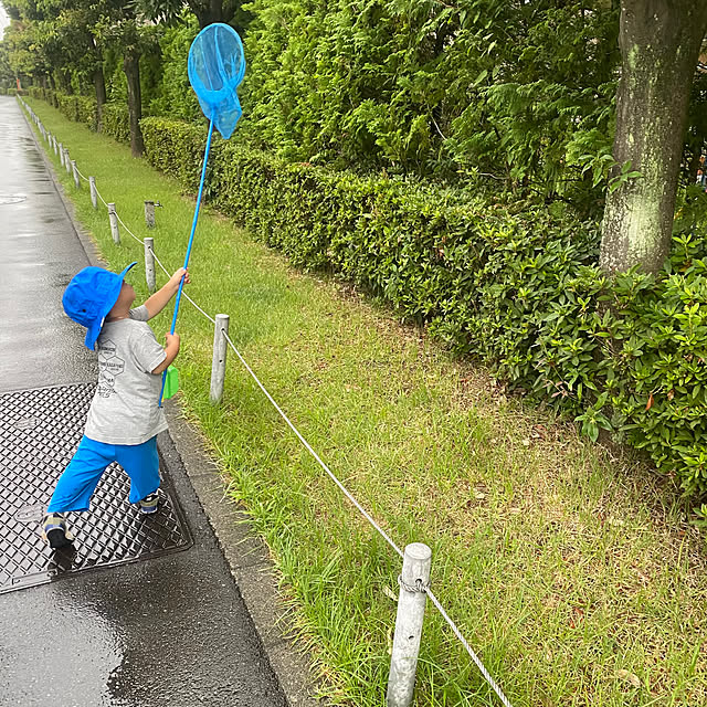 mikomaruさんの実例写真