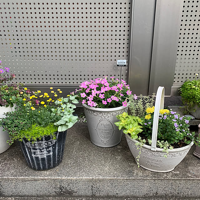maayaさんの部屋