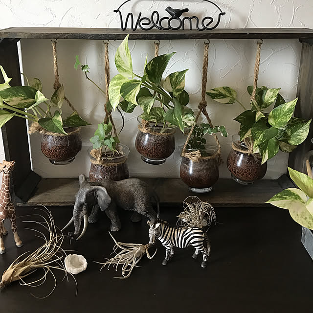 玄関/入り口/雑貨/観葉植物/男前のインテリア実例 - 2017-10-26 09:40:55