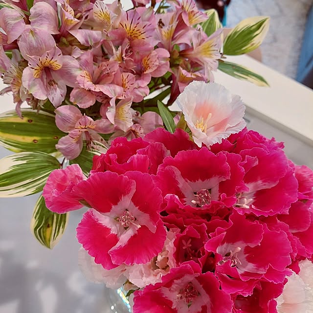 shiori.3173さんの実例写真