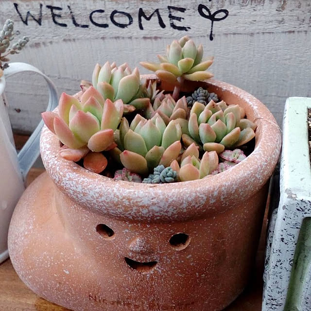 VERANDARJUNさんの実例写真