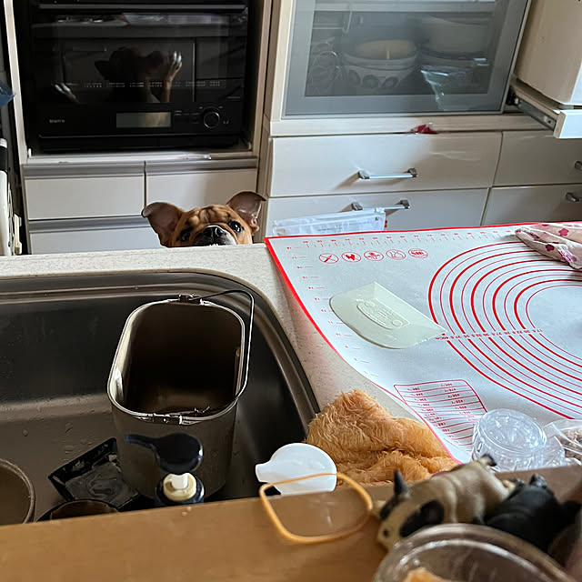 chi_gogaさんの部屋