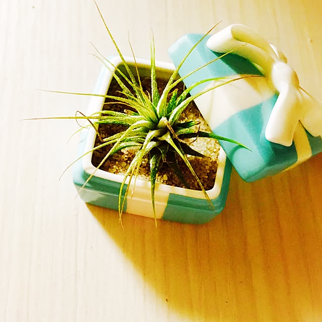 1GOUさんの実例写真