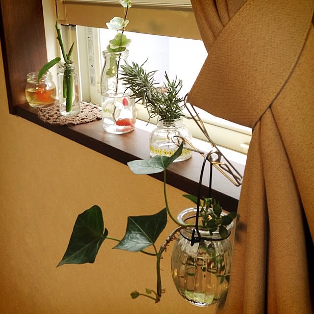 棚/植物/セリア/ガラス瓶/ハーブのインテリア実例 - 2014-10-13 10:05:11