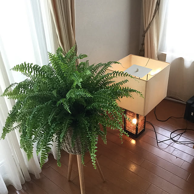 greenpancerさんの実例写真