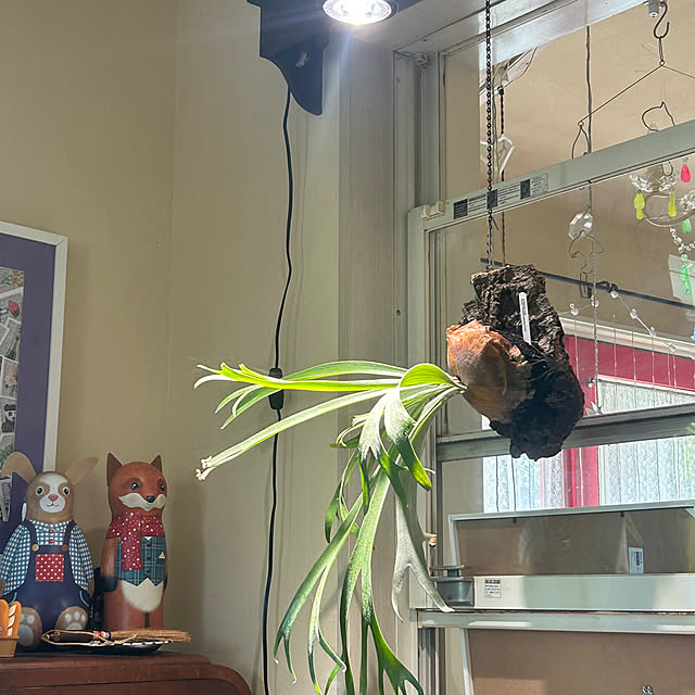 chiyukouさんの部屋