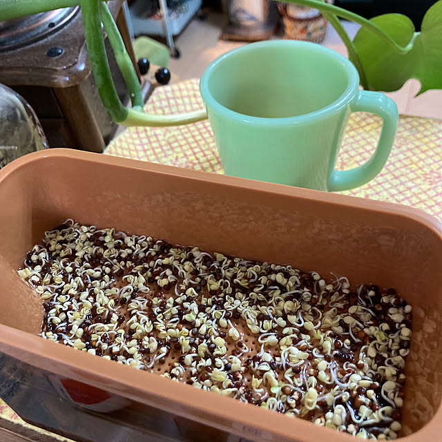 heidiさんの部屋