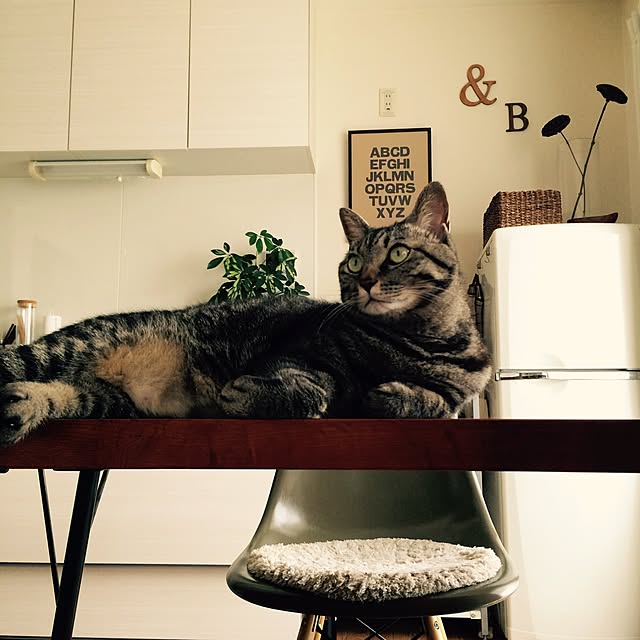 maruさんの実例写真