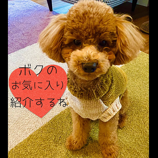 roenさんの部屋