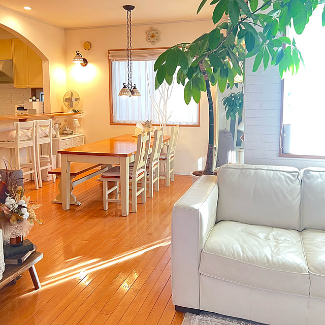 chobisukeさんの部屋