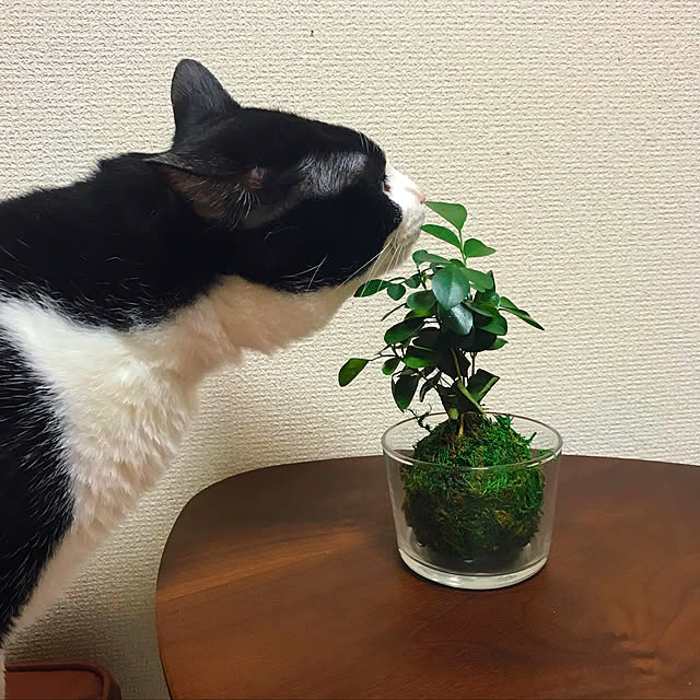room405さんの実例写真