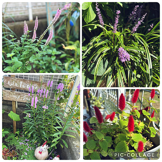 CoCo0617さんの部屋