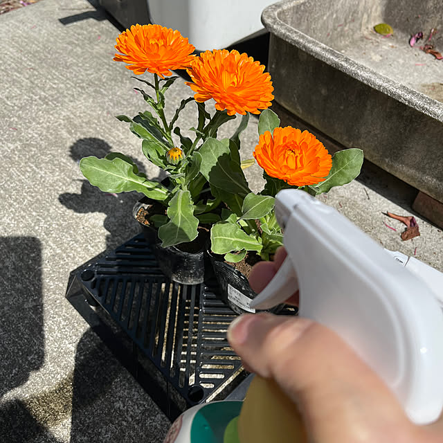 mogumoguさんの部屋