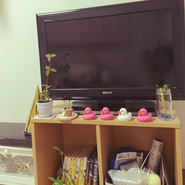 ozakiさんの実例写真