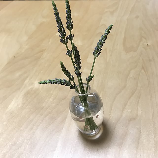 ma-さんの実例写真