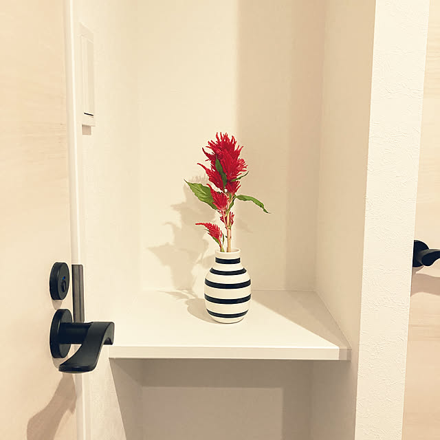 shokoさんの実例写真