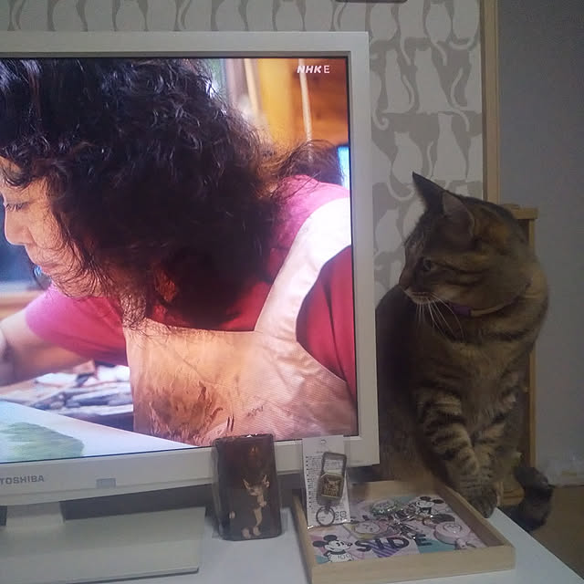 chikoさんの実例写真