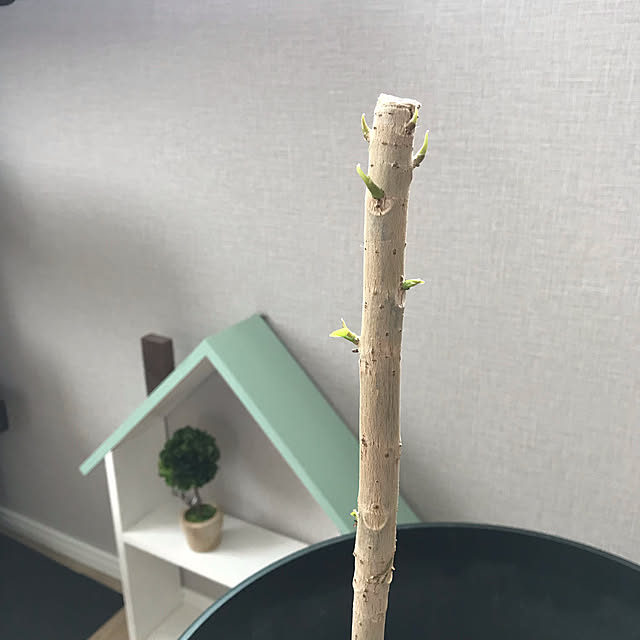 hananokaoriさんの実例写真