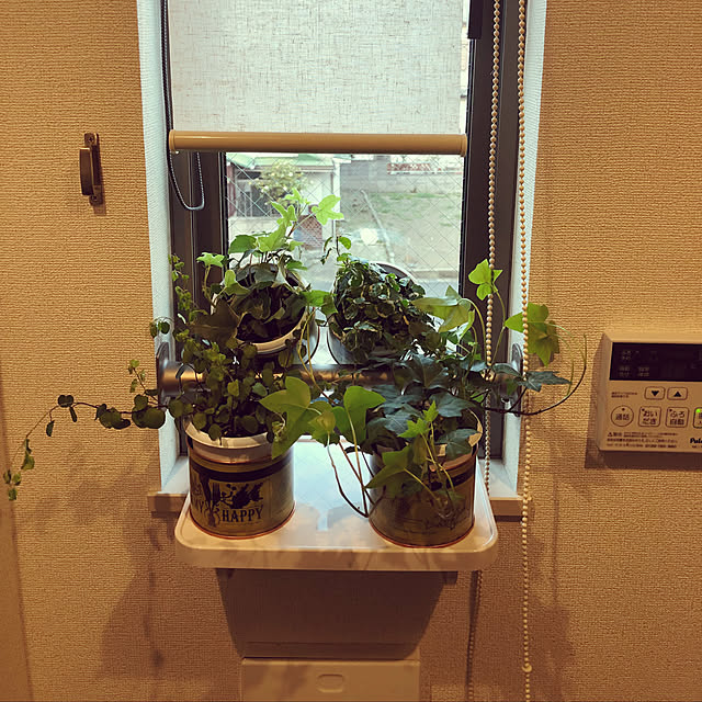 キッチン/観葉植物/一人暮らしのインテリア実例 - 2018-03-14 17:29:09