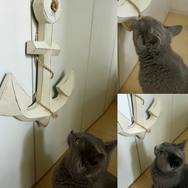 yzuさんの実例写真