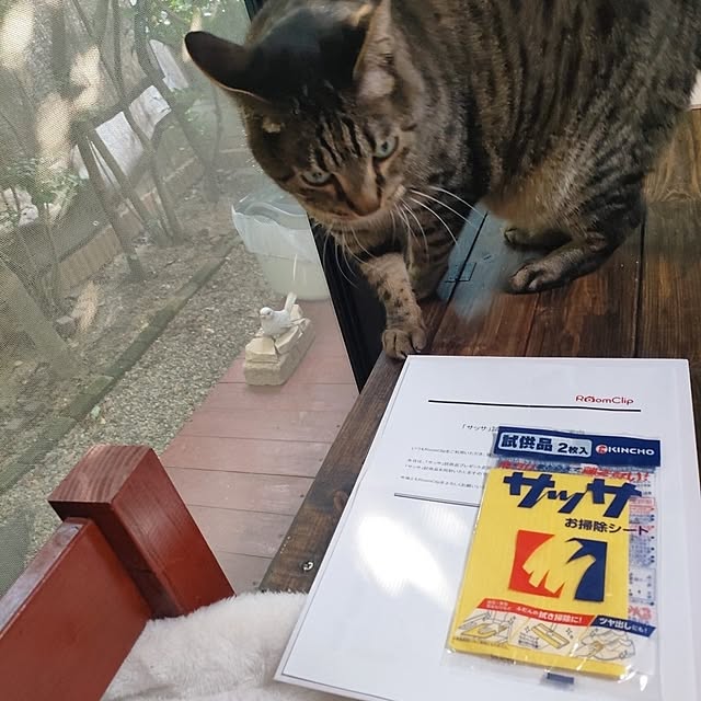 mori_6_12さんの部屋