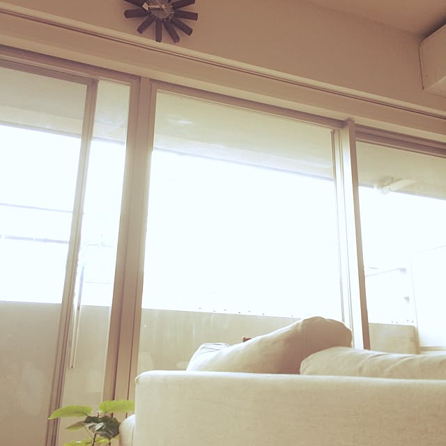 yuusatoさんの実例写真
