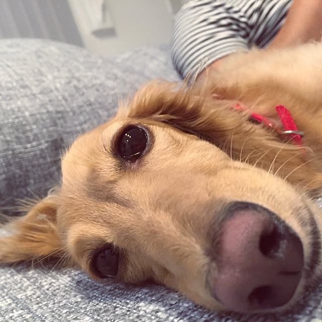 Eriさんの実例写真