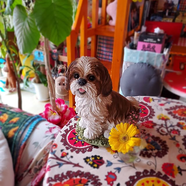 kumutanさんの実例写真