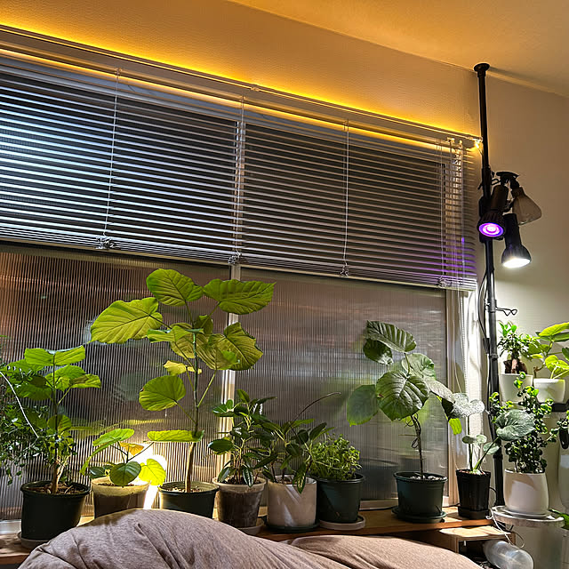 ma.yさんの実例写真