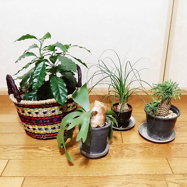 emi87さんの実例写真