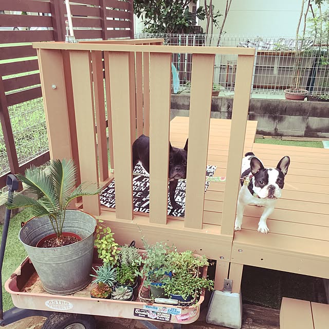 chicoさんの実例写真