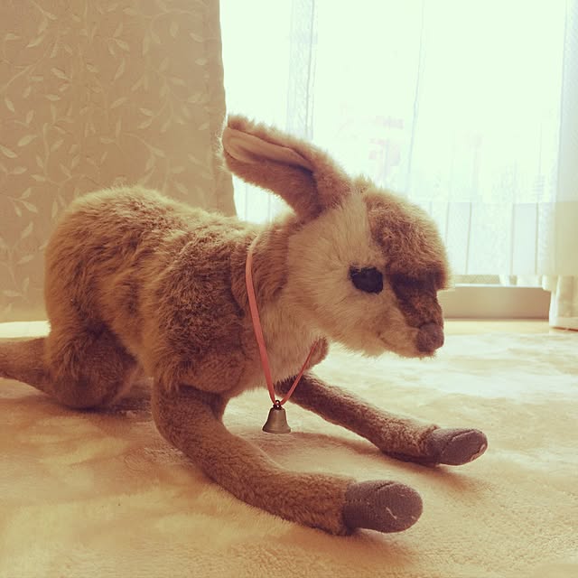 arukumaさんの実例写真