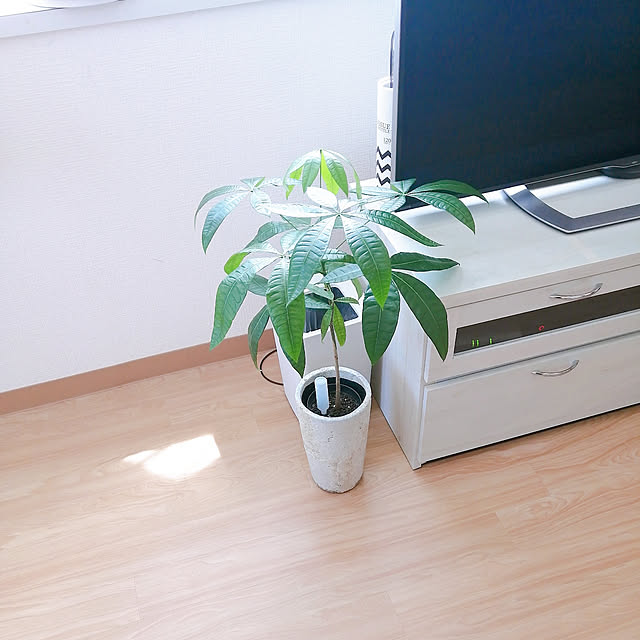 Miri.さんの実例写真
