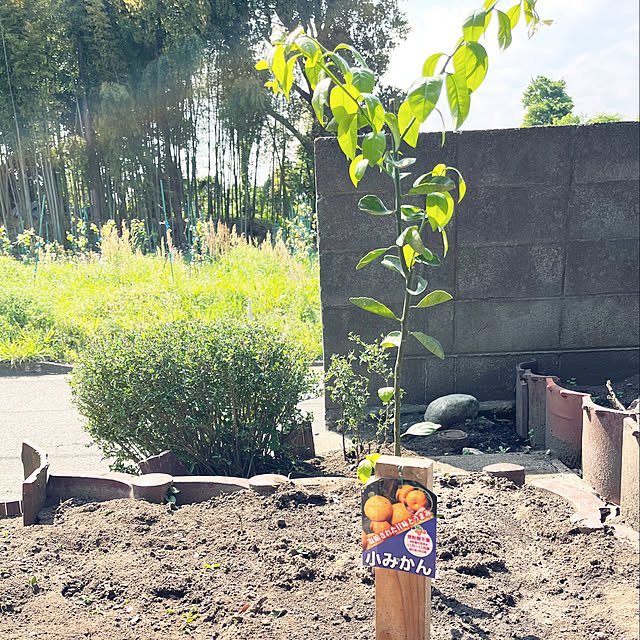 manami437さんの実例写真
