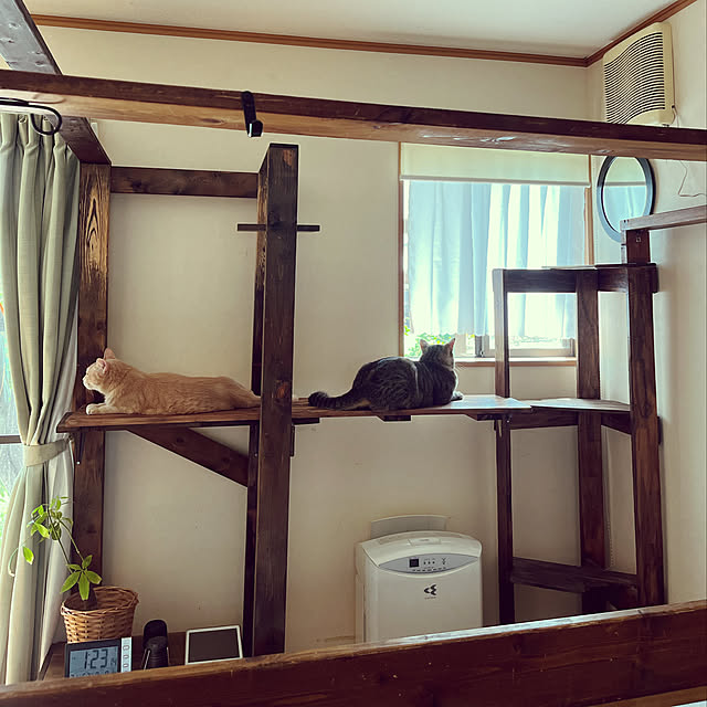 mikan161さんの実例写真