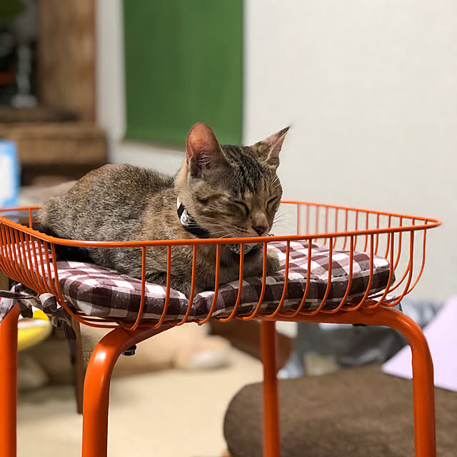 mohhaさんの実例写真