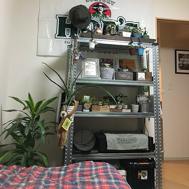 tetra163さんの実例写真