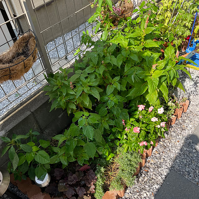 ikuzakさんの部屋