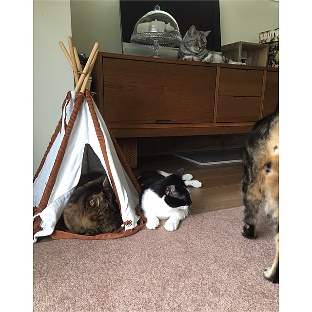 mikomaruさんの実例写真