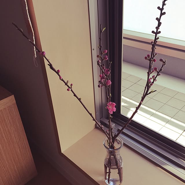 meeeg03さんの実例写真