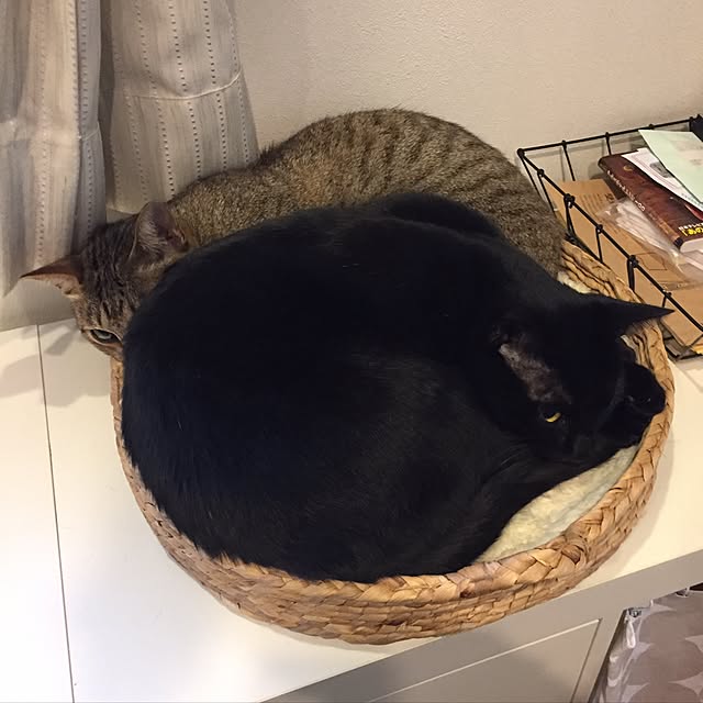 yuki0511さんの実例写真