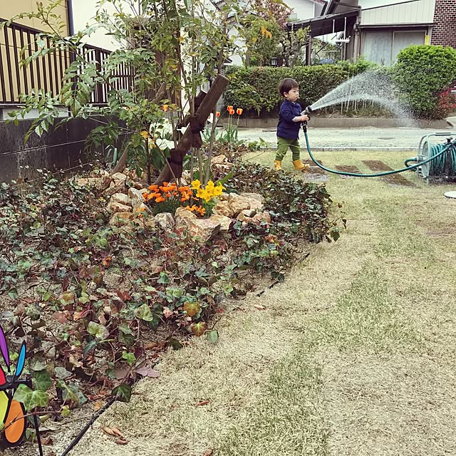 mmmさんの実例写真