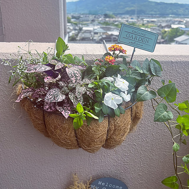 K.HOUSEさんの実例写真