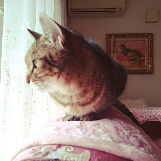 lilyさんの実例写真