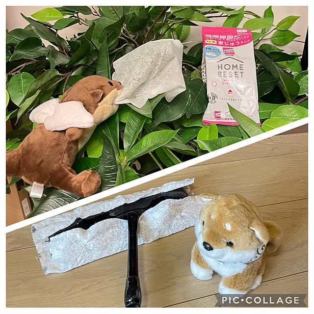 aureaさんの実例写真