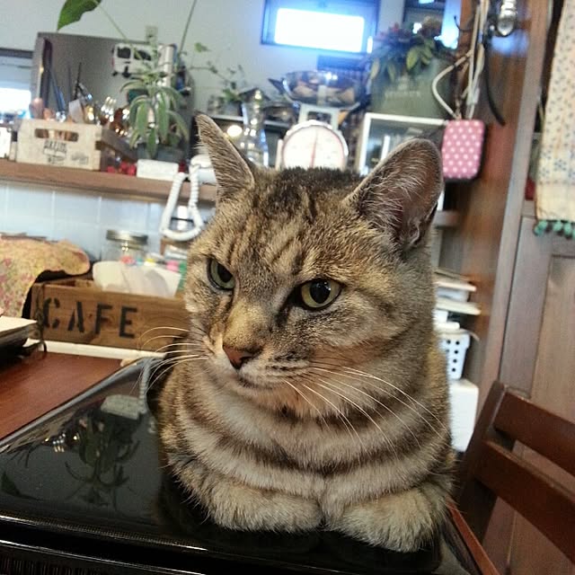 piyochanさんの実例写真