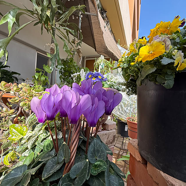 Aqettyさんの部屋