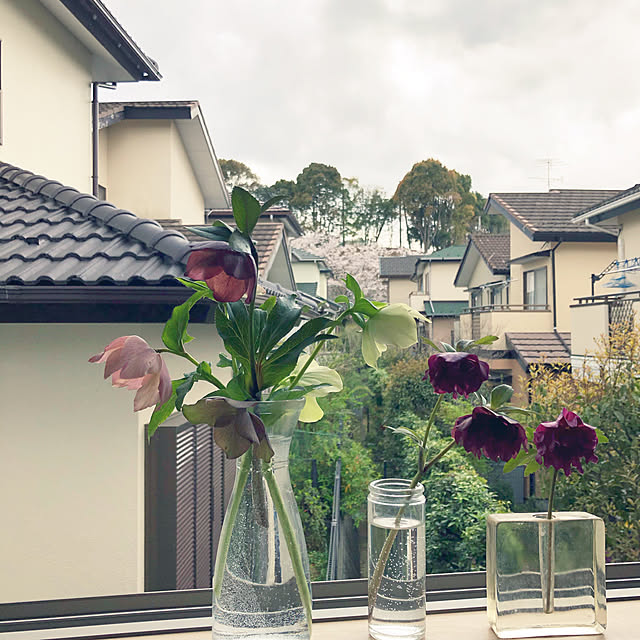 hatsugaさんの実例写真