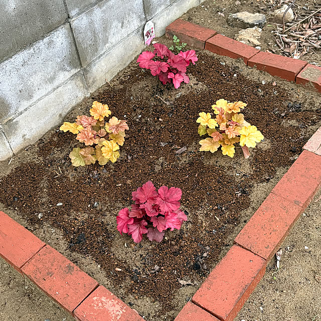 akkeyさんの部屋